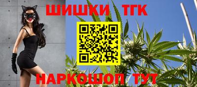 стаф Кингисепп