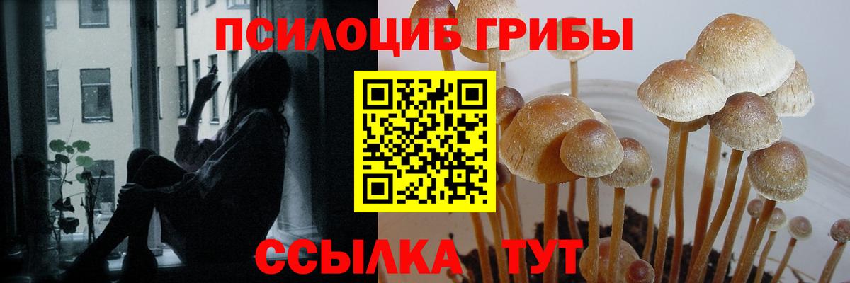 Псилоцибиновые грибы GOLDEN TEACHER  Вход с VPN  Ялта 